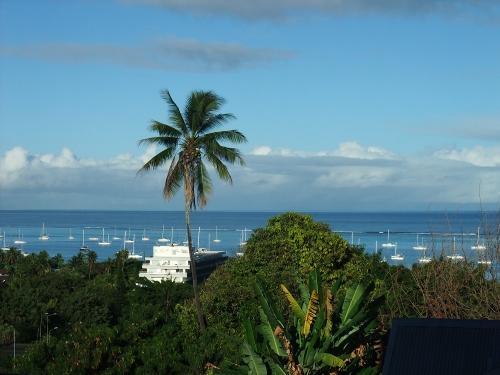 depuis ma terrasse ...