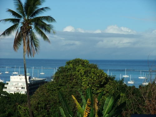 depuis ma terrasse ...