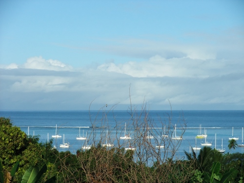 depuis ma terrasse ...