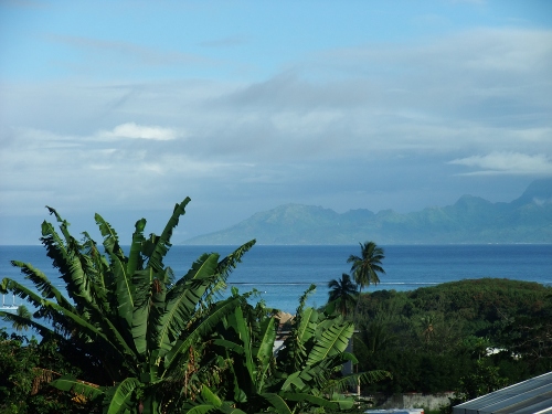 depuis ma terrasse ...