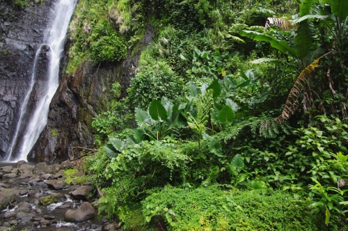 cascade Tahiti