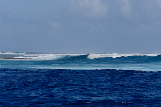 vagues proche récif
