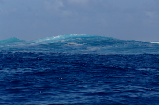 vagues proche récif