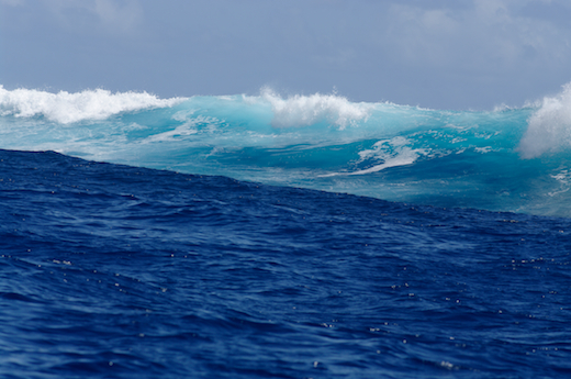 vagues proche récif