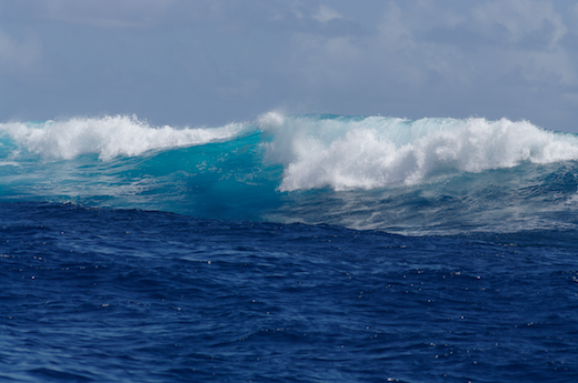 vagues proche récif