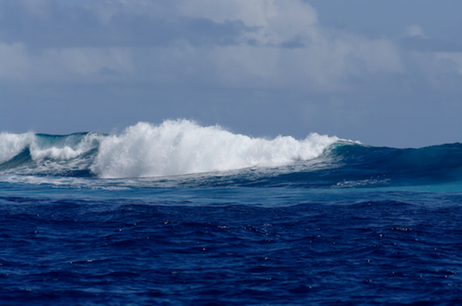 vagues proche récif