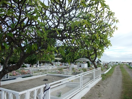 cimetière au bord de l'océan