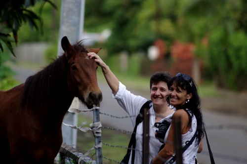 le cheval, Clo et Dany