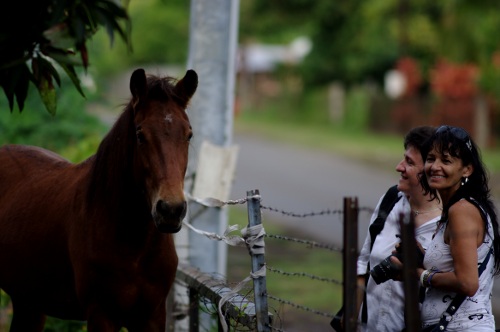 le cheval, Clo et Dany