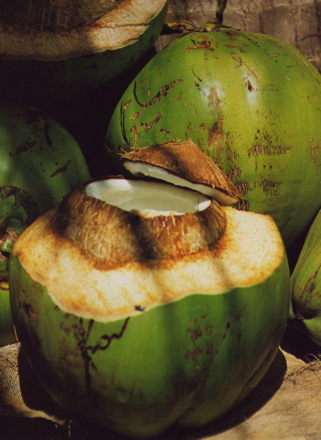 noix de coco