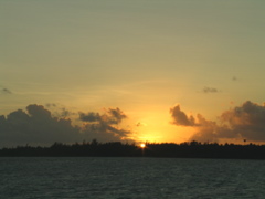 croislafin