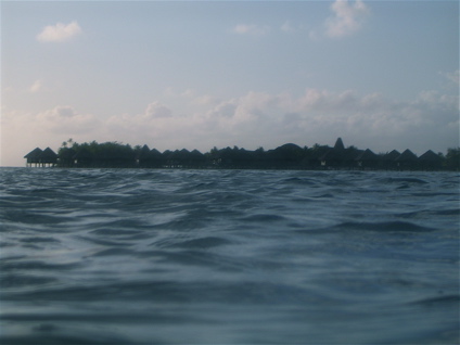 lagon