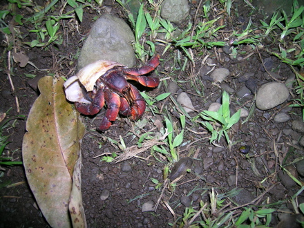 autre habitat