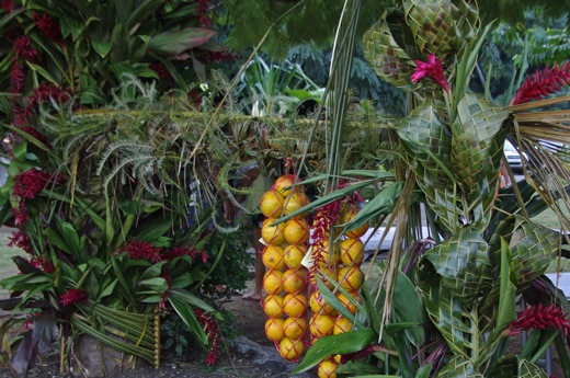 expo oranges