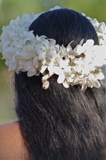 fleurs ...