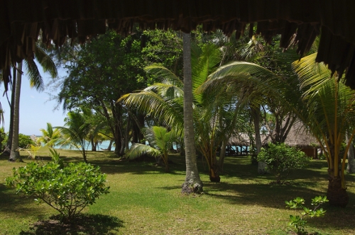 la vue depuis notre bungalow