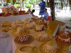 expo
