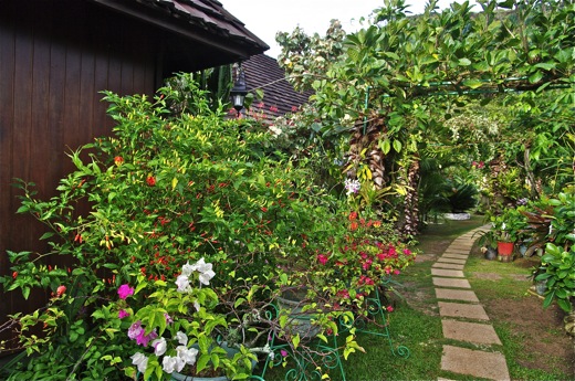 Rurutu pension Le Manotel