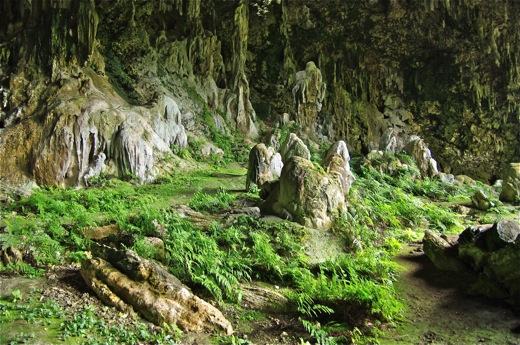 grotte Ana A'eo ou grotte Mitterrand, nov 2010 grotte Ana A'eo ou grotte Mitterrand