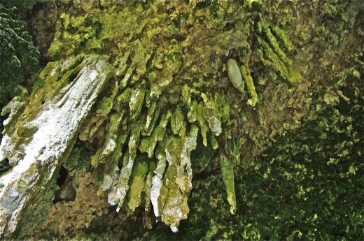 stalactites, nov 2010 stalactites