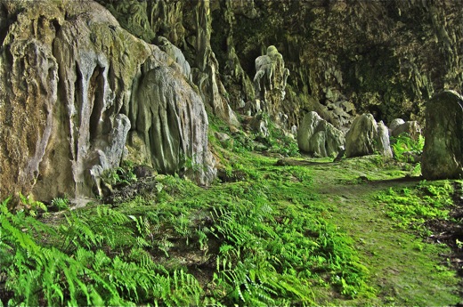stalagmites, nov 2010 stalagmites