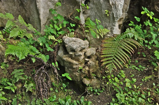 petite "sculpture" ..., nov 2010 petite "sculpture" ...