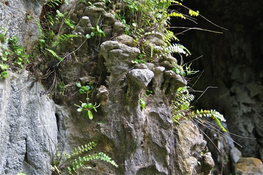 autres "sculptures" ..., nov 2010 autres "sculptures" ...