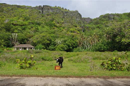 Rurutu côte ouest