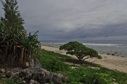 côté plage ...,dec 2010 côté plage ...
