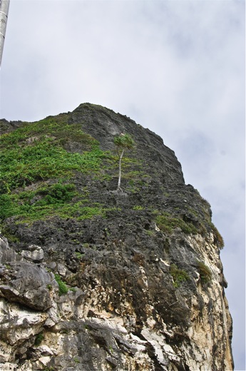 falaise de la pointe Arei, dec 2010 falaise de la pointe Arei