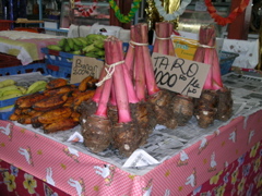 tubercule