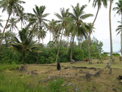 site
