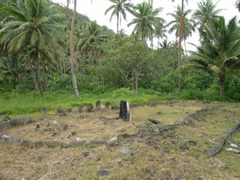 vitaria