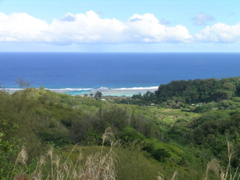 vue