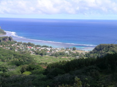 avera