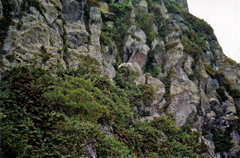 falaisepaile