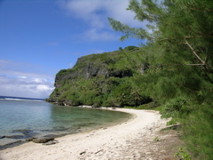 toarutu
