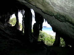 vue