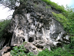 pumai