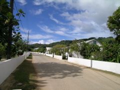 rue