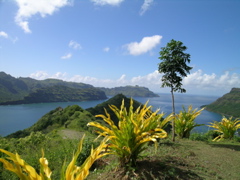 vuecontr