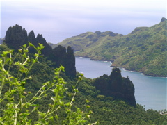 aiguilles