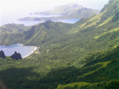 vuebaie