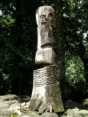 tikibois