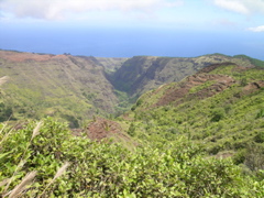 deserte