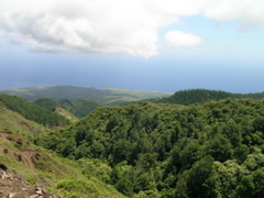 toovii