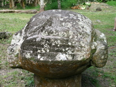 fecondite