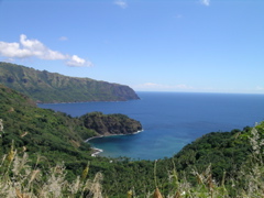 vue