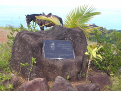 stele