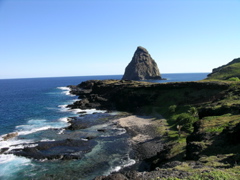vue